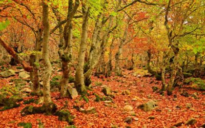 Los pueblos más bonitos de Segovia para estrenar el otoño