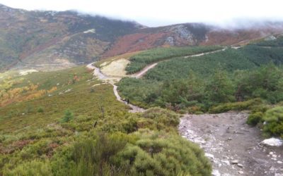 Parque «Hoces del Rio Riaza», ¡una bonita excursión!