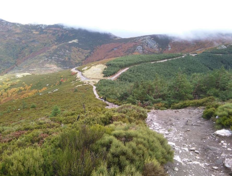 Parque «Hoces del Rio Riaza», ¡una bonita excursión!