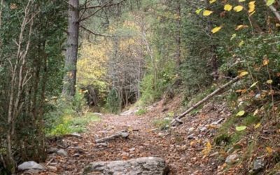 4 Rutas de senderismo en Riaza para disfrutar en familia