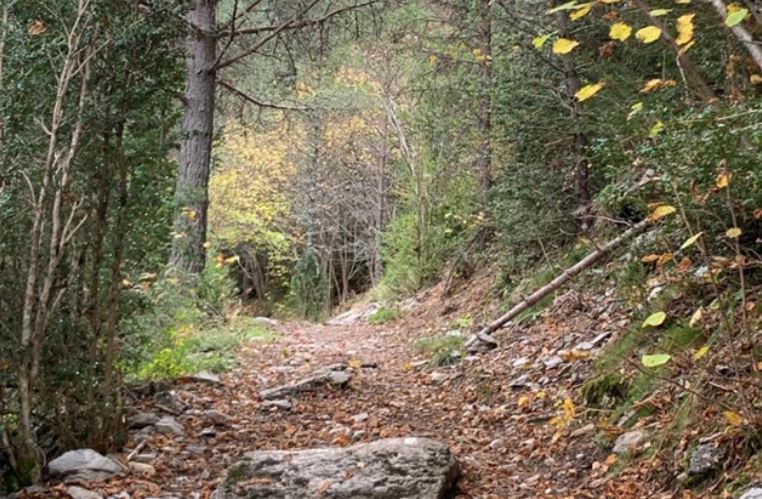 Caminos naturales por Riaza