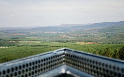 Consejos si vas a hacer turismo rural en Riaza
