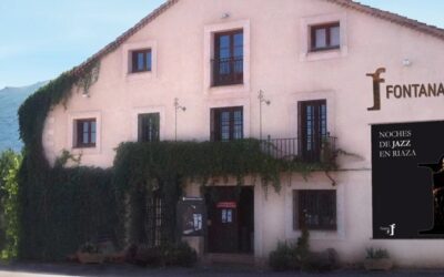 LA GALERÍA DE ARTE Y ANTIGÜEDADES DE RIAZA: UN FARO CULTURAL EN EL MEDIO RURAL