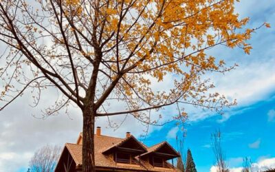VIVE EL OTOÑO EN SAN BENITO LA CASA DE MIS ABUELOS: EL DESTINO IDEAL PARA FAMILIAS Y AMIGOS