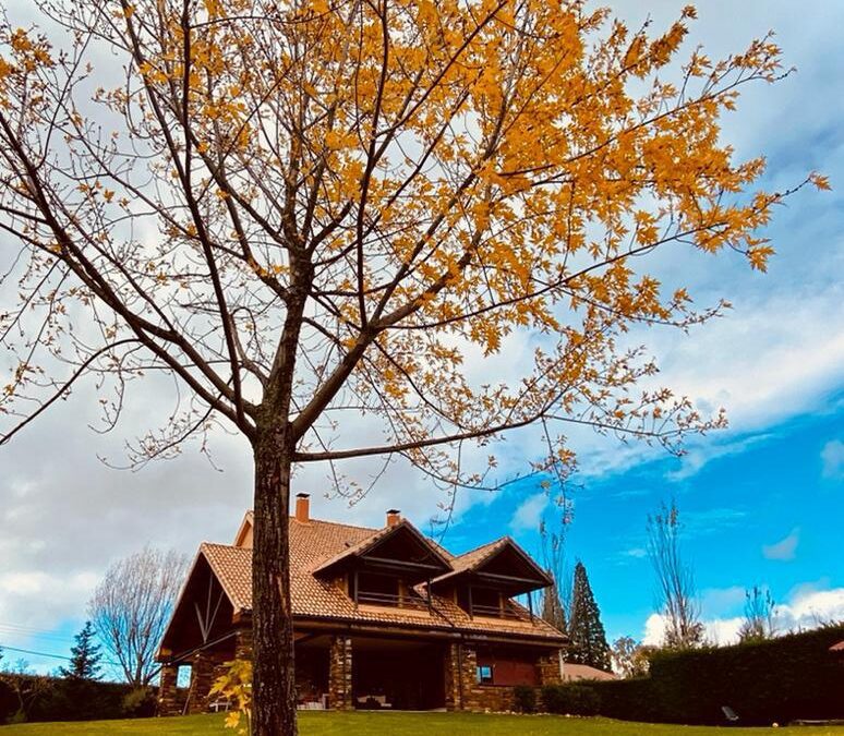 VIVE EL OTOÑO EN SAN BENITO LA CASA DE MIS ABUELOS: EL DESTINO IDEAL PARA FAMILIAS Y AMIGOS