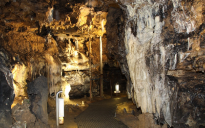 CUEVA DE LOS ENEBRALEJOS EN PRÁDENA