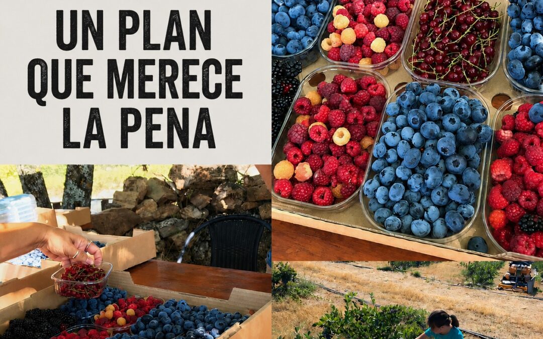 UN PLAN QUE MERECE LA PENA SI VIENES A NUESTRA CASA