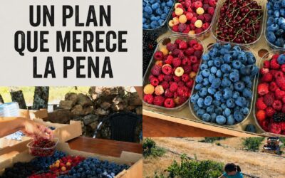 UN PLAN QUE MERECE LA PENA SI VIENES A NUESTRA CASA